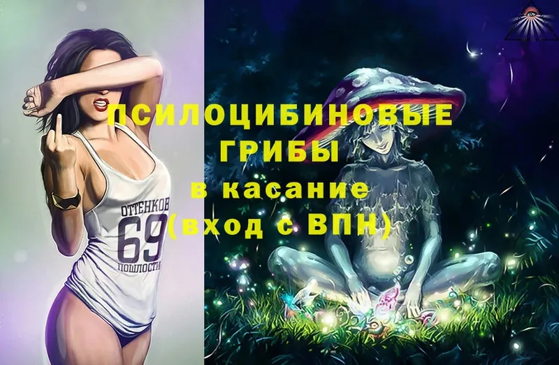 Псилоцибиновые грибы Magic Shrooms  купить  сайты  Бологое 