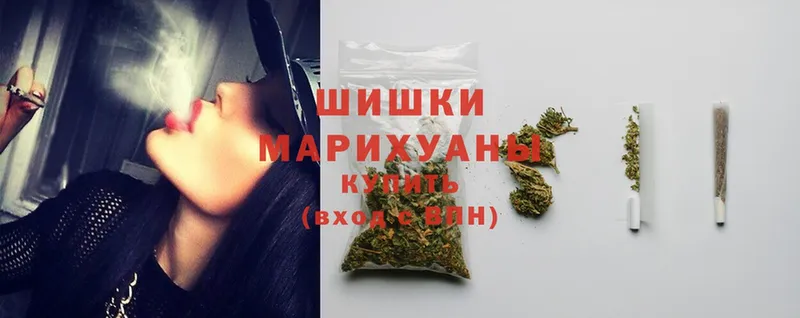 Бошки марихуана Amnesia  Бологое 